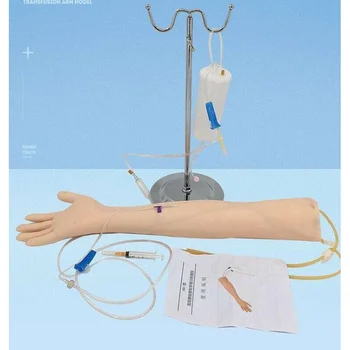 Yaşam Boyutu Anatomik Flebotomi Venipunktur Uygulama Kolu anatomyInjection uygulama Tıbbi Simülatörü Hemşire Eğitim seti