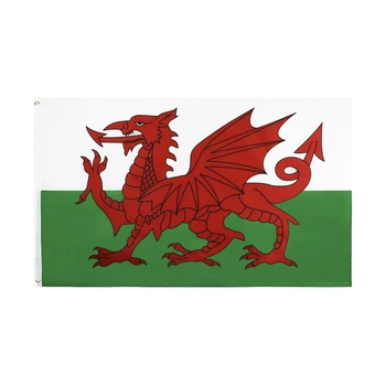 90x150 CM Galler Bayrağı Galler Kırmızı Ejderha Cymru İNGILTERE Dünya Ülke Bayrakları